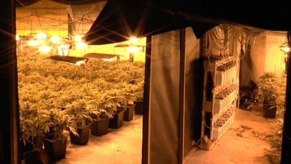 Ostrów Mazowiecka - Przez cały dzisiejszy dzień będziemy prezentować najczęściej