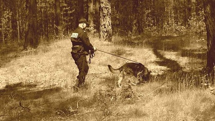 Ostrów Mazowiecka - Mieszkaniec powiatu ostrowskiego zgłosił, w czwartek 22 czer