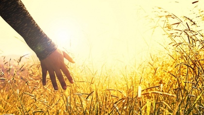 Ostrów Mazowiecka - Rokrocznie 11 marca przypada święto wszystkich sołtysów. Daw