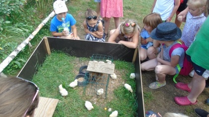 Ostrów Mazowiecka - Miejska Świetlica Socjoterapeutyczna zapewniła w sierpniu sw