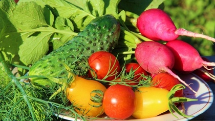 Ostrów Mazowiecka - Skwerek Obfitości, czyli pierwszy ostrowski ogród społeczny,