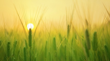 Ostrów Mazowiecka - Miejski Dom Kultury w Ostrowi Mazowieckiej z okazji wakacji 