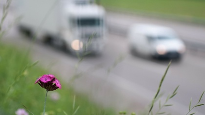 Ostrów Mazowiecka - Ostrowscy policjanci przez cały październik będą prowadzić d