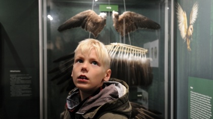 Ostrów Mazowiecka - Ostrowskie Stowarzyszenie 