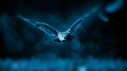 Ostrów Mazowiecka - Ostrowskie stowarzyszenie 