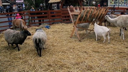 Ostrów Mazowiecka - Już w najbliższy weekend wszyscy mieszkańcy Gminy Małkinia G