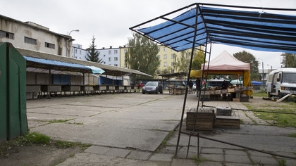 Ostrów Mazowiecka - Jeśli pogoda nie spłata figla, to już niebawem warzywa i owo