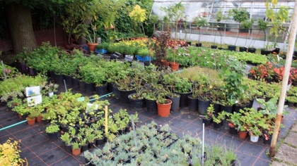 Ostrów Mazowiecka - 103. urodziny obchodziło jedno z najstarszych przedsiębiorst