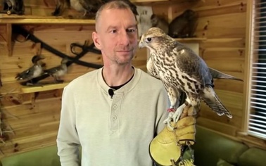 Ostrów Mazowiecka - Usługi sokolnicze z ochroną miejsc przed szkodnikami - to po