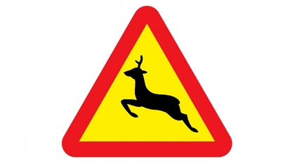 Ostrów Mazowiecka - Mieszkanka województwa podlaskiego nie miała szczęścia na dr