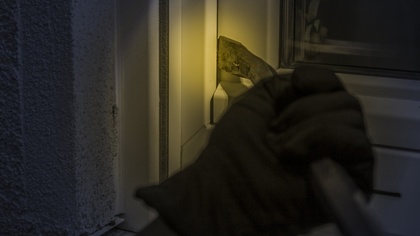 Ostrów Mazowiecka - Ranking przeprowadzony przez Eurostat (Europejski Urząd Stat