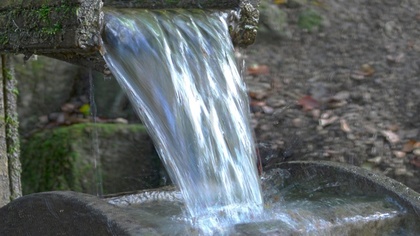 Ostrów Mazowiecka - Większa ekologiczna świadomość, czy też zwykła oszczędność? 