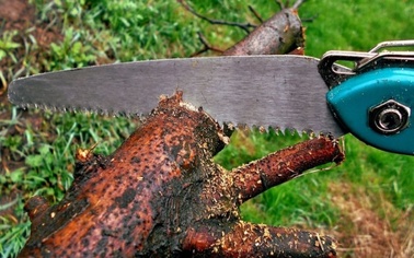 Ostrów Mazowiecka - Odkąd 1 stycznia weszła w życie ustawa liberalizująca przepi