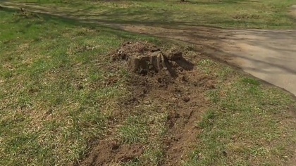 Ostrów Mazowiecka - W miejscowości Sitne pod Warszawą doszło do tragicznego wypa