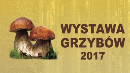 Ostrów Mazowiecka - Powiatowa Stacja Sanitarno-Epidemiologiczna w Ostrowi Mazowi