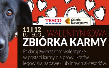 Ostrów Mazowiecka - Galeria Bursztynowa oraz hipermarket Tesco zapraszają wszyst