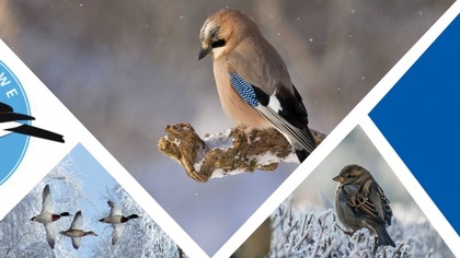 Ostrów Mazowiecka - Najbliższą sobotę warto spędzić w towarzystwie naszych skrzy